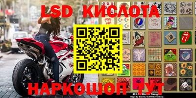 ALPHA PVP Камышлов