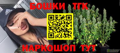 ALPHA PVP Камышлов