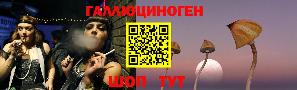 Тимашёвск  Галлюциногенные грибы MAGIC MUSHROOMS  Вход с VPN 